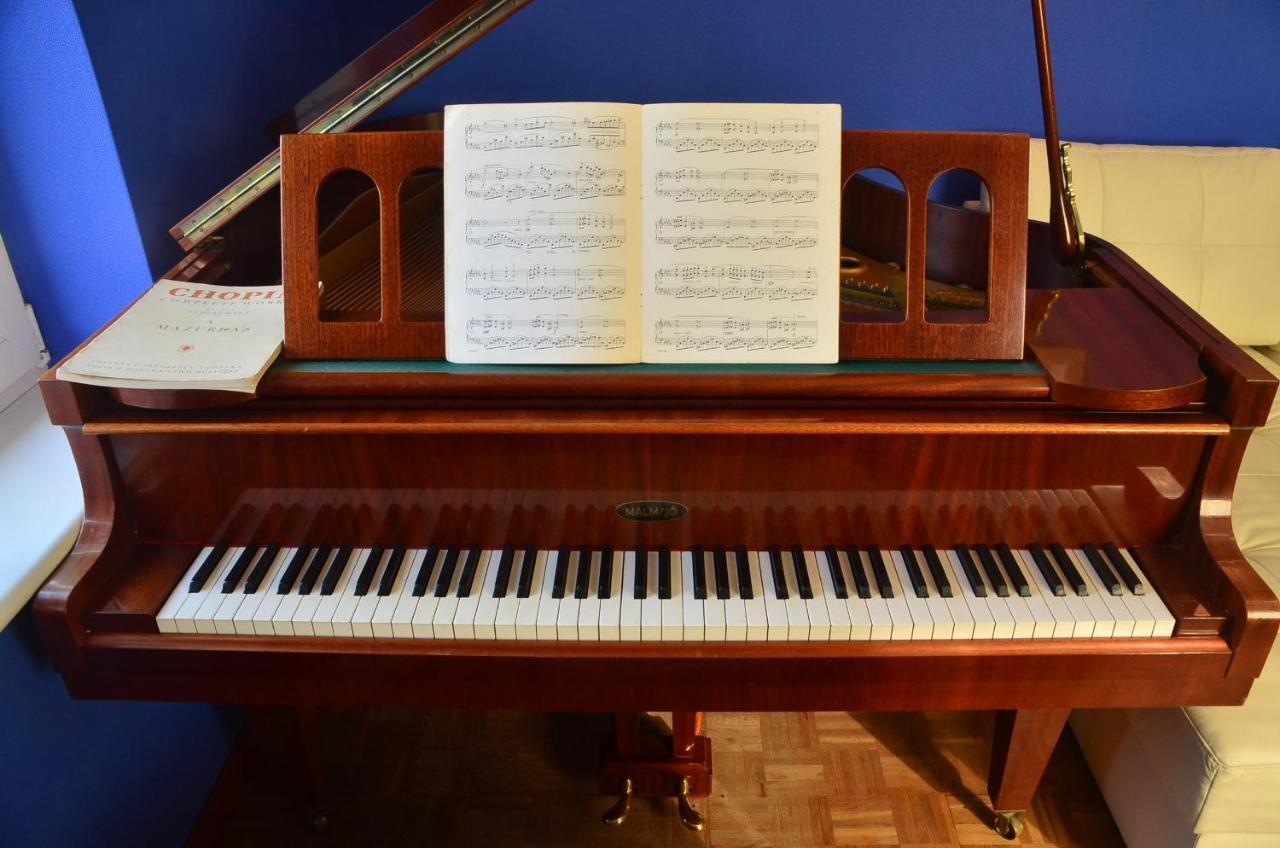 Apartament Dark Amber- 3 Rooms Grand Piano ชวีโนวิชแจ ภายนอก รูปภาพ
